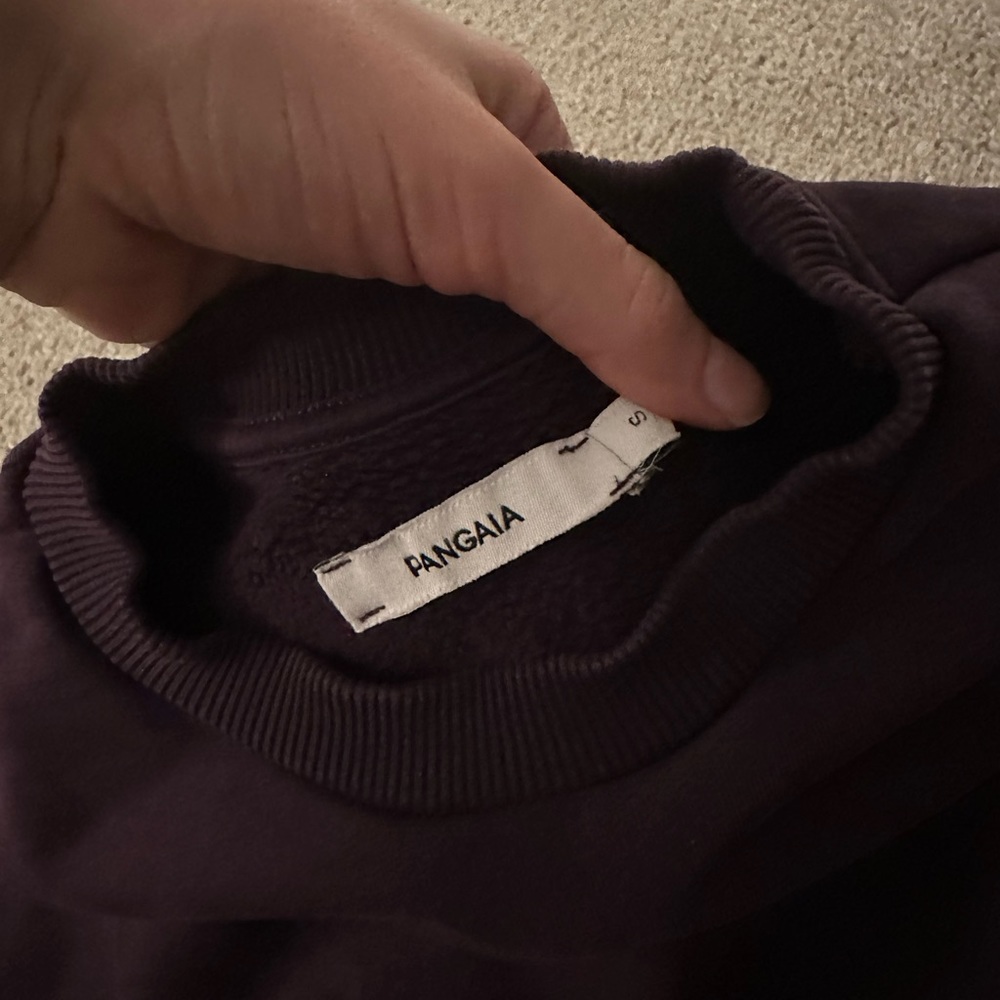 Pangaia sweater wine color New